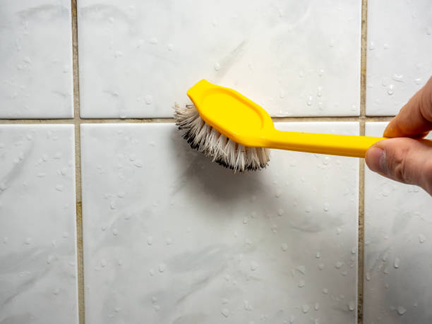 Best Best Mold Removal Companies  in Frederick, MD