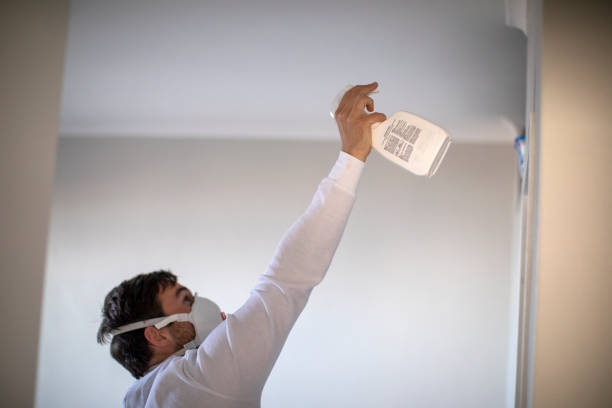 Best Mold Testing  in Frederick, MD