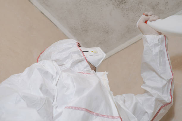 Trusted Frederick, MD Mold Removal Experts