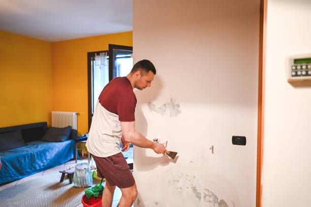Best Commercial Mold Removal  in Frederick, MD