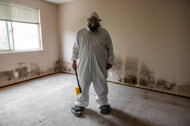 Best Home Mold Removal  in Frederick, MD